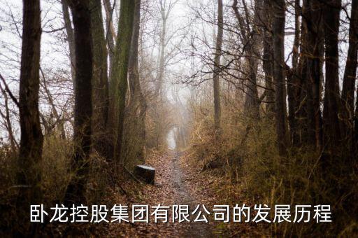臥龍電氣銀川變壓器怎么樣,第二次工業革命就要由臥龍來寫了