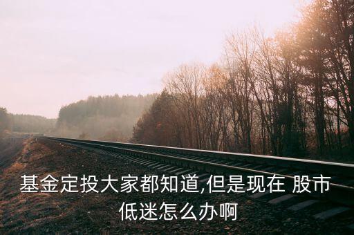 基金定投大家都知道,但是現在 股市 低迷怎么辦啊