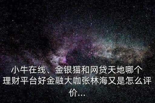  小牛在線、金銀貓和網(wǎng)貸天地哪個 理財平臺好金融大咖張林海又是怎么評價...