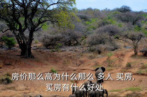 年后買房怎么那么多人,房地產開發商趁低吸引年輕人買房