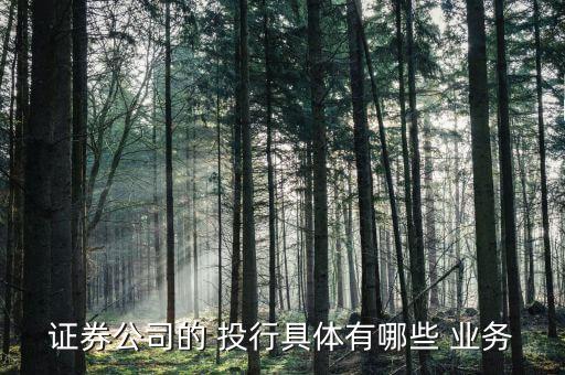 證券公司的 投行具體有哪些 業務