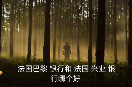  法國巴黎 銀行和 法國 興業 銀行哪個好