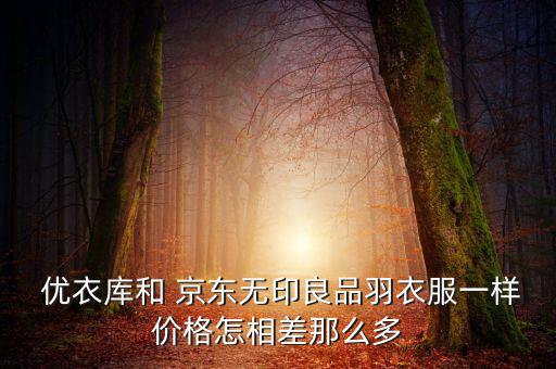 京東優衣庫怎么退出了,優衣庫進入倉庫模式占領核心戰略堡壘