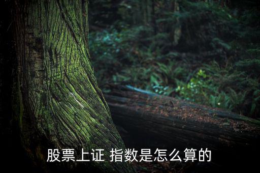 股票上證 指數是怎么算的