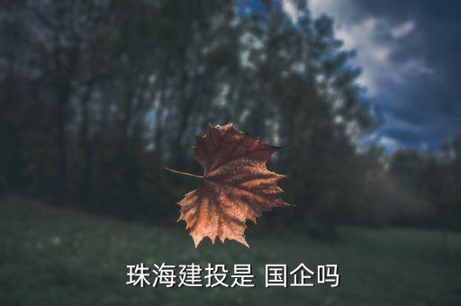 珠海國企怎么樣,珠海市國資委直接控股珠海創投是地方國企