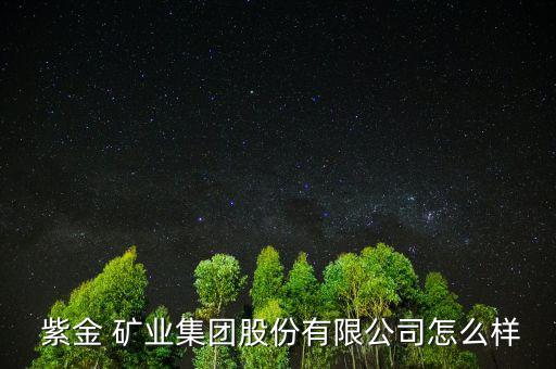  紫金 礦業集團股份有限公司怎么樣