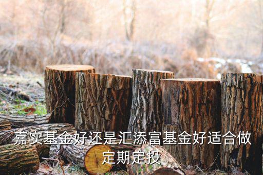嘉實中創400聯接怎么樣,創業板和匯添富基金適合定投的基金