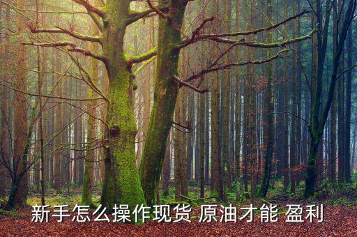 原油怎么發盈利單,原油投資好處多需要注意什么?