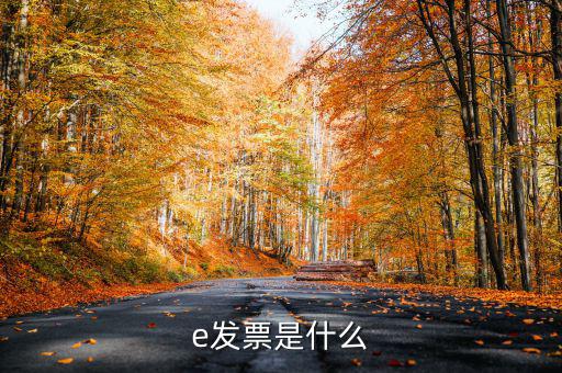 e票寶怎么使用,電子發票開票頁面出現兩種取票方式