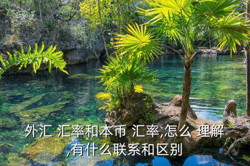 外匯 匯率和本幣 匯率,怎么 理解,有什么聯系和區別