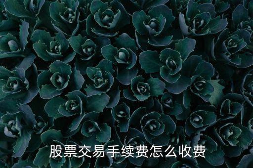 2016股票過戶費怎么收,股票交易費用包括傭金和過戶手續費