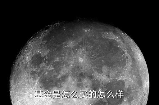 穩賺1號怎么買,怎么買基金能確定穩賺不虧?