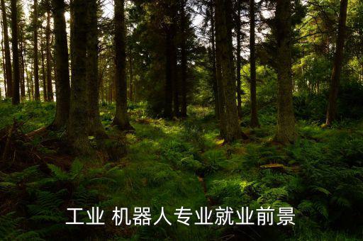 機器人行業怎么樣,投票日前最后五個選區競選廣播
