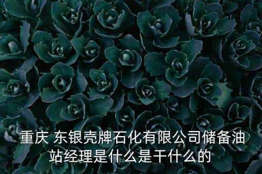  重慶 東銀殼牌石化有限公司儲備油站經理是什么是干什么的
