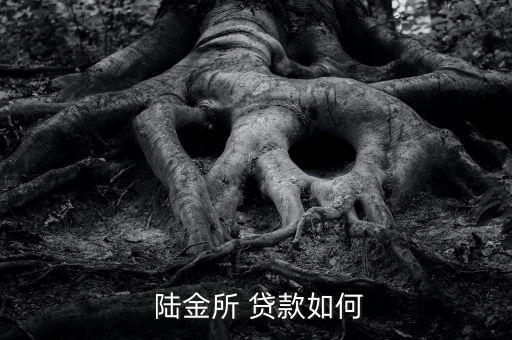 怎么樣在陸金所上貸款,網貸業務