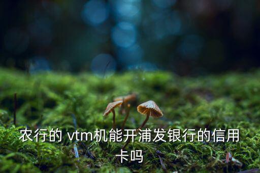 農行的 vtm機能開浦發銀行的信用卡嗎