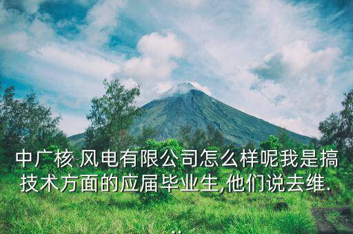 中廣核 風電有限公司怎么樣呢我是搞技術方面的應屆畢業生,他們說去維...