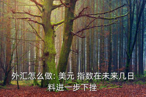 外匯怎么做: 美元 指數在未來幾日料進一步下挫