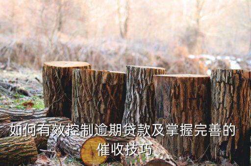 金融聯催收公司怎么樣,貸款公司如何避免財務糾紛?