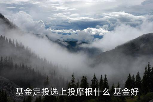 001313基金怎么樣,穩健型投資者可考慮雙息平衡基金