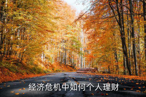  經濟危機中如何個人理財