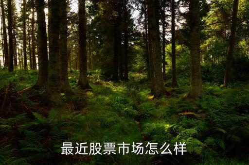 深深寶a怎么樣,從三大趨勢看中國未來10年的發展