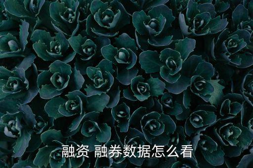 融資融券賬戶配號怎么查詢,融資融券新規定