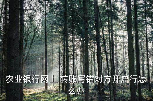 農行轉賬錯誤怎么辦,銀行網上轉賬打錯對方銀行有兩種結果