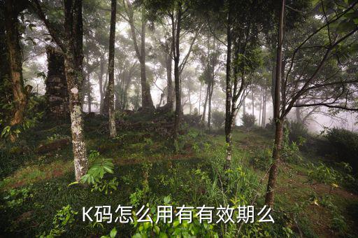 微信k碼是怎么用,凱立德導航定位系統提供離線消息參考