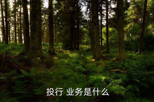  投行 業務是什么