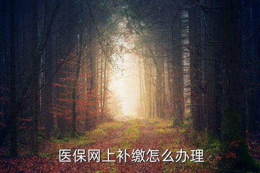 怎么補交醫保,因個人原因斷了社保可申請公司為自己繳納費用
