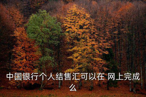 中國銀行個人結售匯可以在 網上完成么