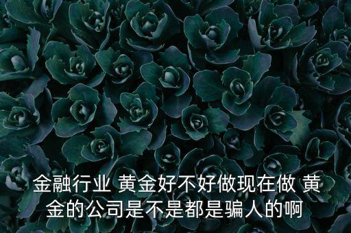  金融行業 黃金好不好做現在做 黃金的公司是不是都是騙人的啊