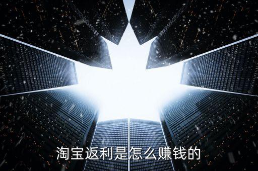 淘寶網是怎么盈利的,寶寶貸款有利息嗎?
