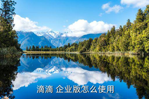  滴滴 企業版怎么使用