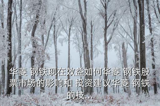 華菱 鋼鐵現在效益如何華菱 鋼鐵股票市場的影響和 投資建議華菱 鋼鐵的技...