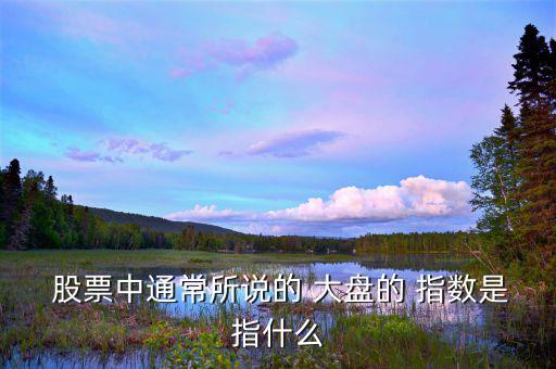  股票中通常所說的 大盤的 指數是指什么