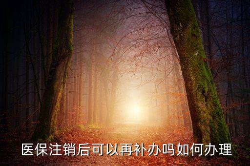  醫保注銷后可以再補辦嗎如何辦理