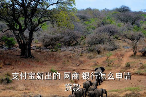 網商銀行怎么貸款利率,網商銀行/貸款申請須滿足以下條件
