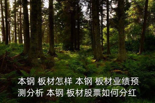 本鋼板材怎么樣,今天聊聊鋼鐵行業優質企業-本鋼板材