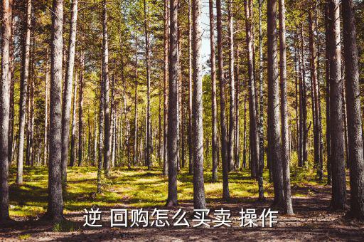 tcl股票回購怎么操作,股票質押回購交易協議流程如何進行?