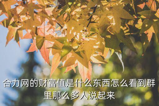 合力網的財富值是什么東西怎么看到群里那么多人說起來