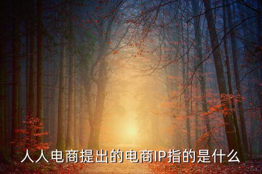 什么是ip經濟，人人電商提出的電商IP指的是什么