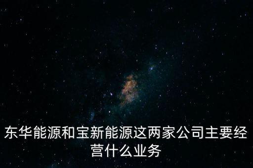 東華能源和寶新能源這兩家公司主要經營什么業務
