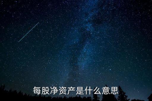 每股凈資產是什么意思