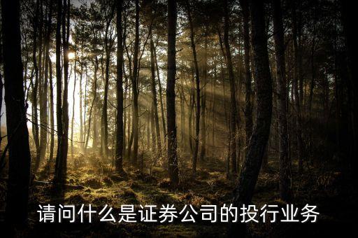 什么是類投行業務，請問什么是證券公司的投行業務