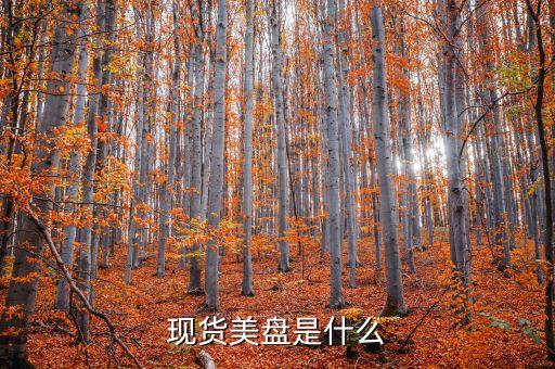 現貨美盤是什么