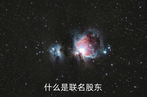 什么是聯席股東，什么是股東