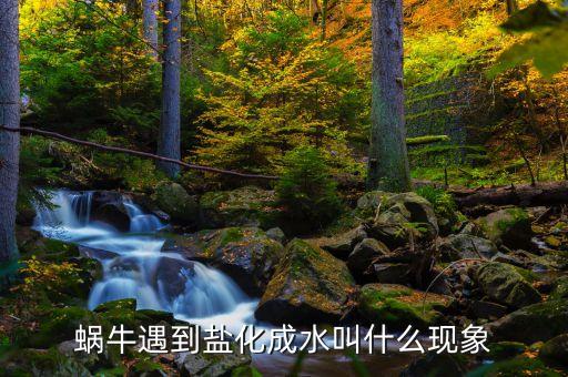 蝸牛遇到鹽化成水叫什么現象