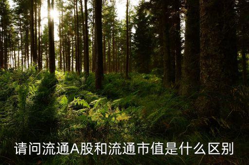 a股流通市值是什么，請問流通A股和流通市值是什么區別